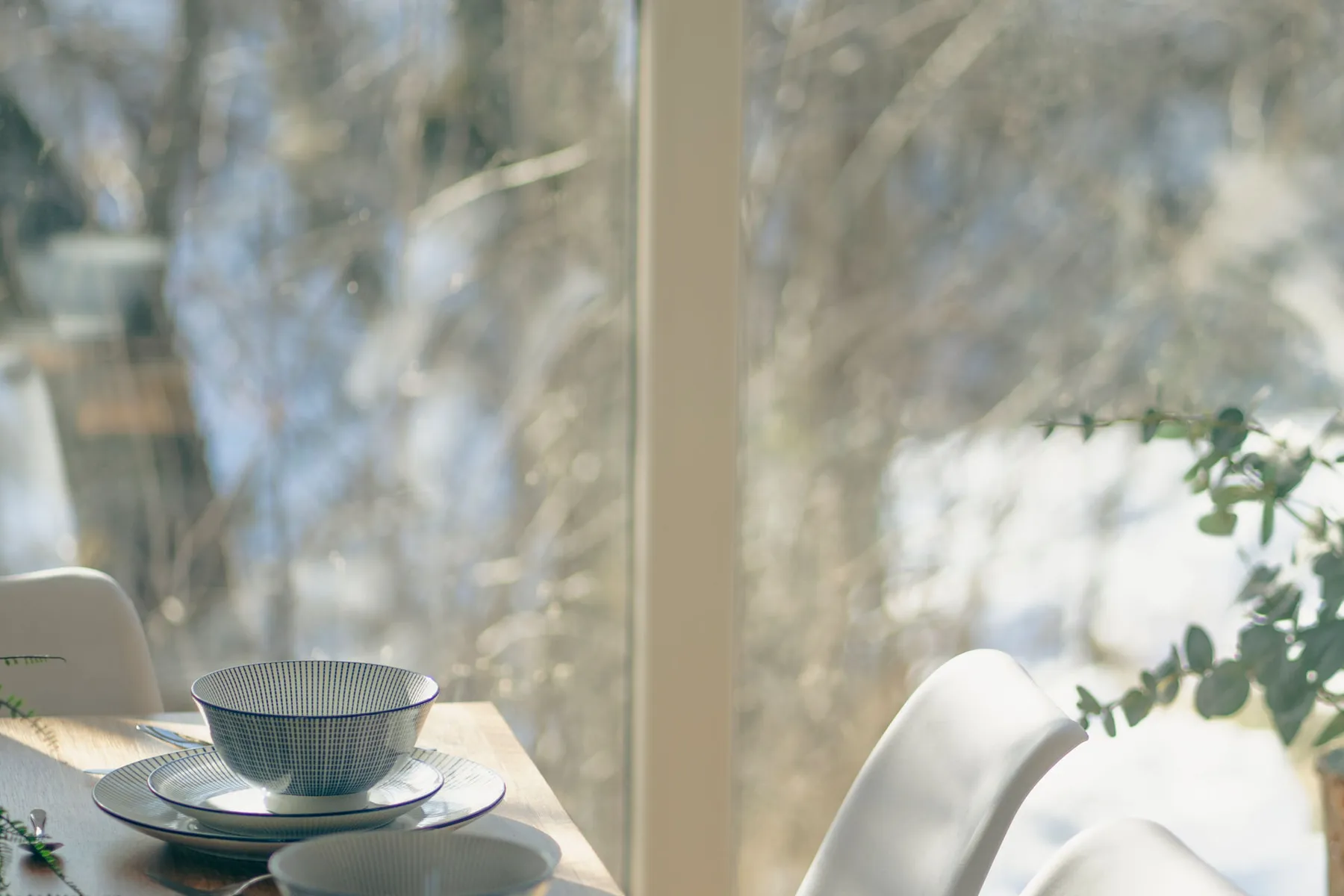 Sky 44